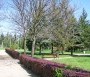 A szépen parkosított, kavicsos utacskákkal teleszőtt Milleniumi park fás-bokros ligetként zöldell Encs szívében.  - Milleniumi park