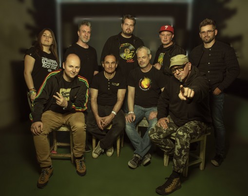   - Reggae Camp